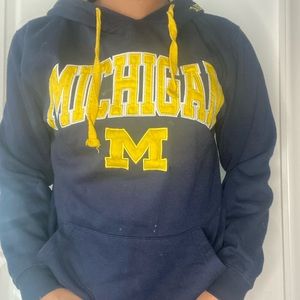 Michigan State hoodie (never worn)